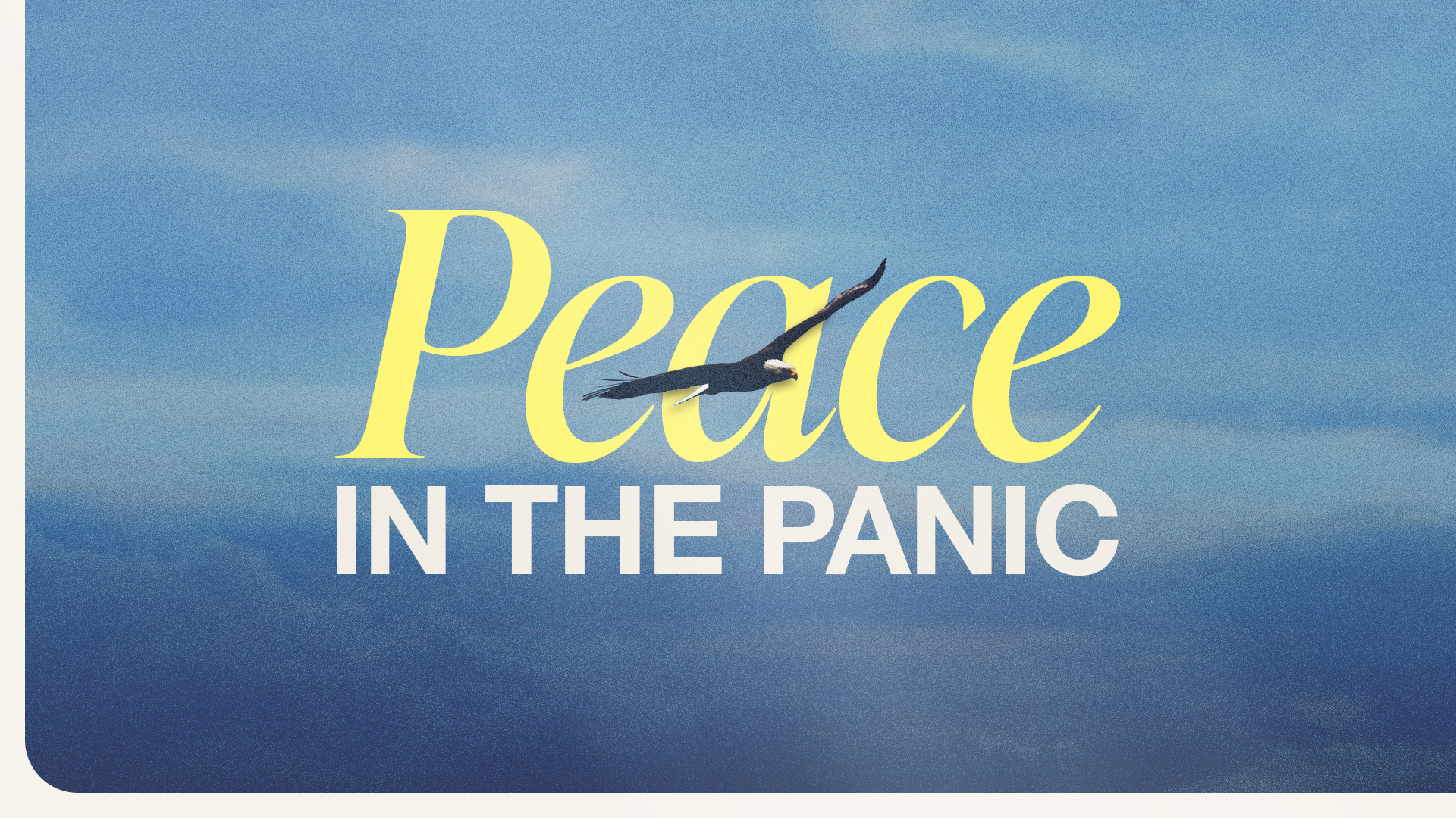 Peace In The Panic